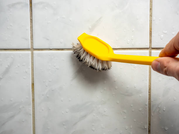 Best Residential Mold Removal  in Ames, IA
