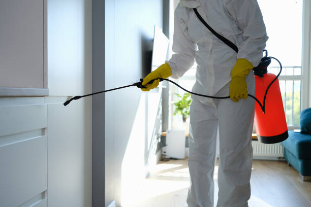 Trusted Ames, IA Mold Removal Experts